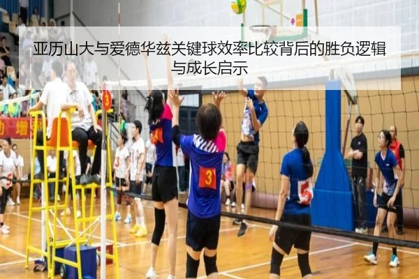亚历山大与爱德华兹关键球效率比较背后的胜负逻辑与成长启示